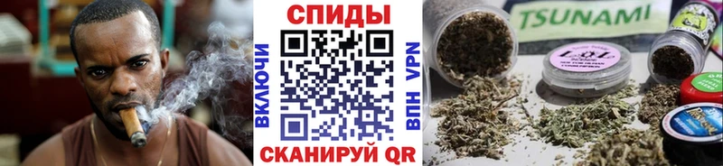 Бутират BDO  мориарти Telegram  Новодвинск  купить  