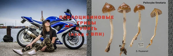 тгк Арсеньев