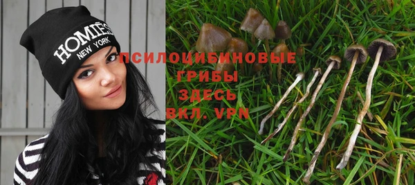 spice Аркадак