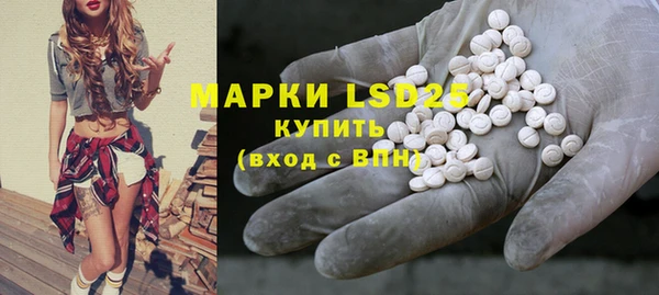 spice Аркадак