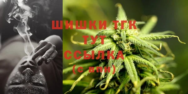 тгк Арсеньев
