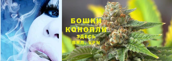 spice Аркадак