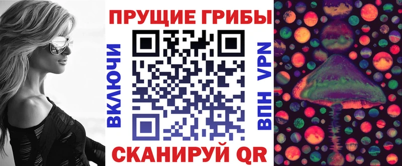 где можно купить наркотик  Новодвинск  Псилоцибиновые грибы мицелий 