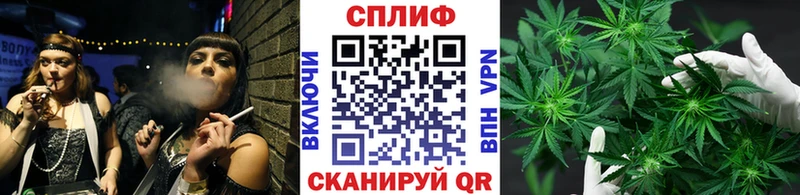Шишки марихуана Amnesia  Новодвинск 